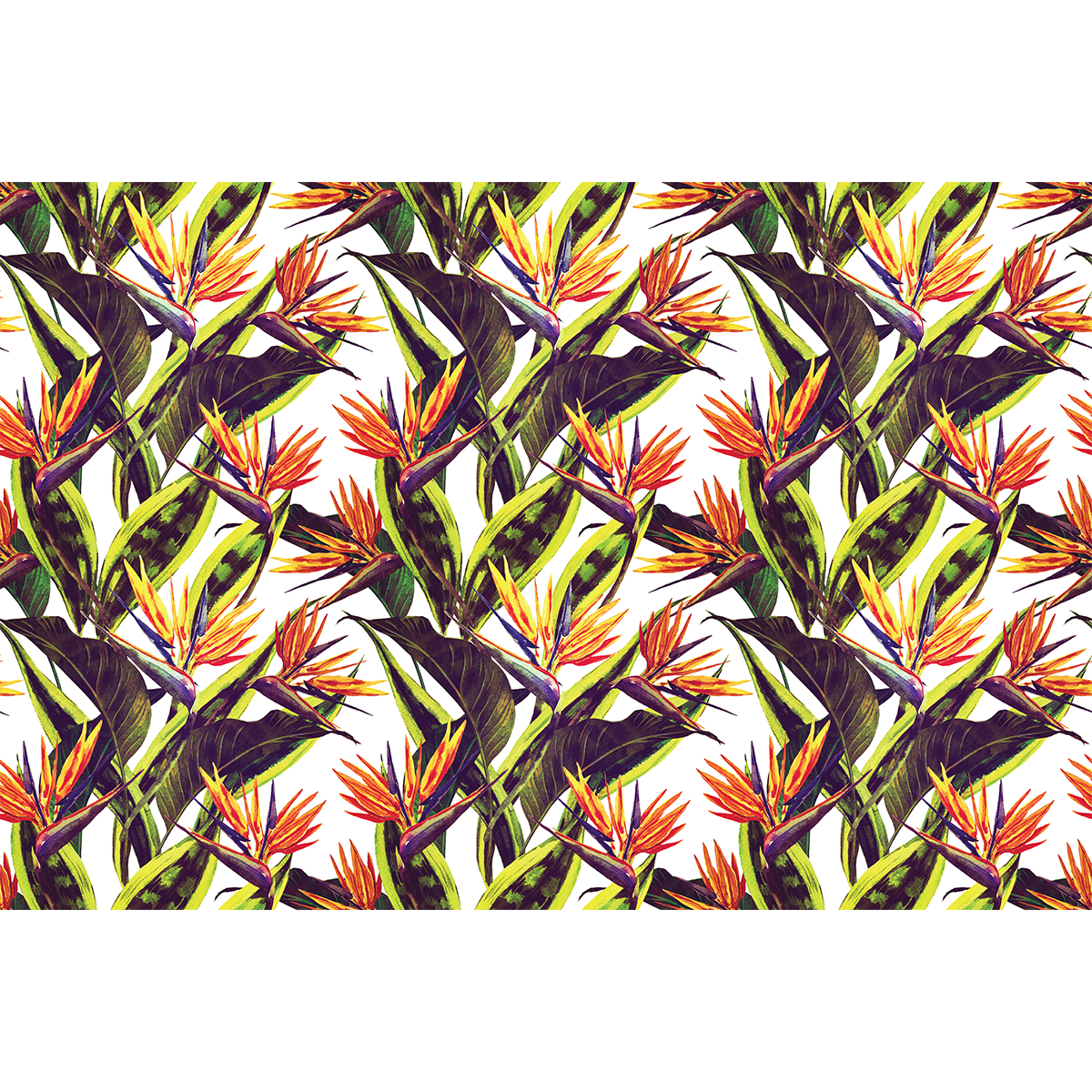 Adesivo mobili tropicale ronzho - Sticker adesivo - adesivi murali - 40x60cm - 2