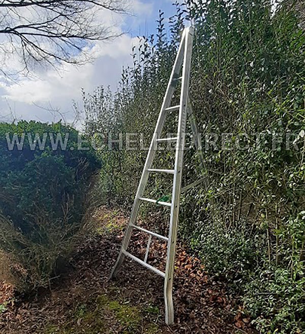 Echelle fruitière 15 barreaux - Hauteur cueillette max. 5.83m - AG500 - 5