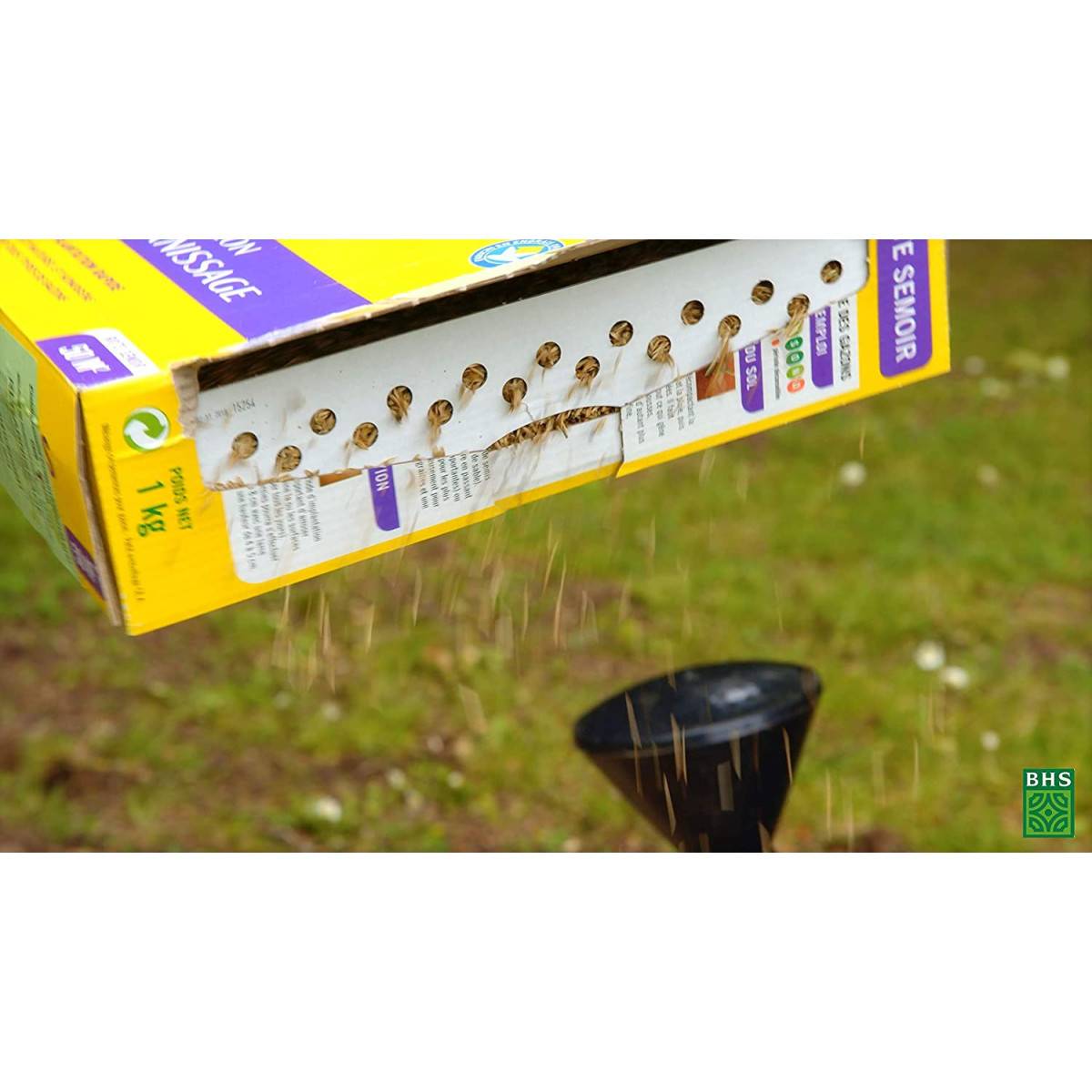 Gazon Kikuyu BHS , 25m² , boite de 300 grs - 4