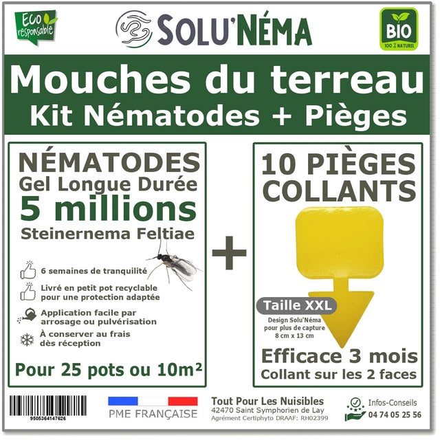 SoluNéma - Kit Nématodes 5 Millions + 10 Pièges Jaunes XXL - Contre Mouches du Terreau -Gel Longue Durée pour 25 Pots de Plantes