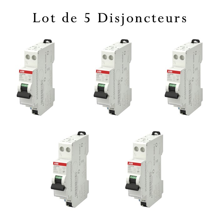 Lot De 5 Disjoncteurs 20A Phase + Neutre | Courbe C | 4,5kA - Siemens