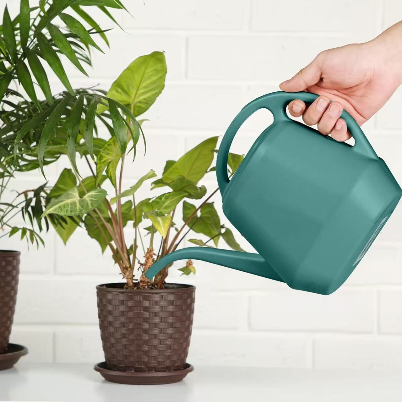 BEAFACE Lot de deux arrosoirs de jardin - 4L,pulvérisateur à long bec, convient aux plantes d'intérieur et d'extérieur, aux potagers et aux plantes. - 4