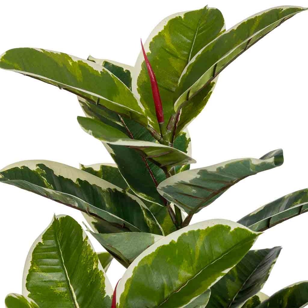 Chêne artificiel décoratif vert 60x60x128 - 6