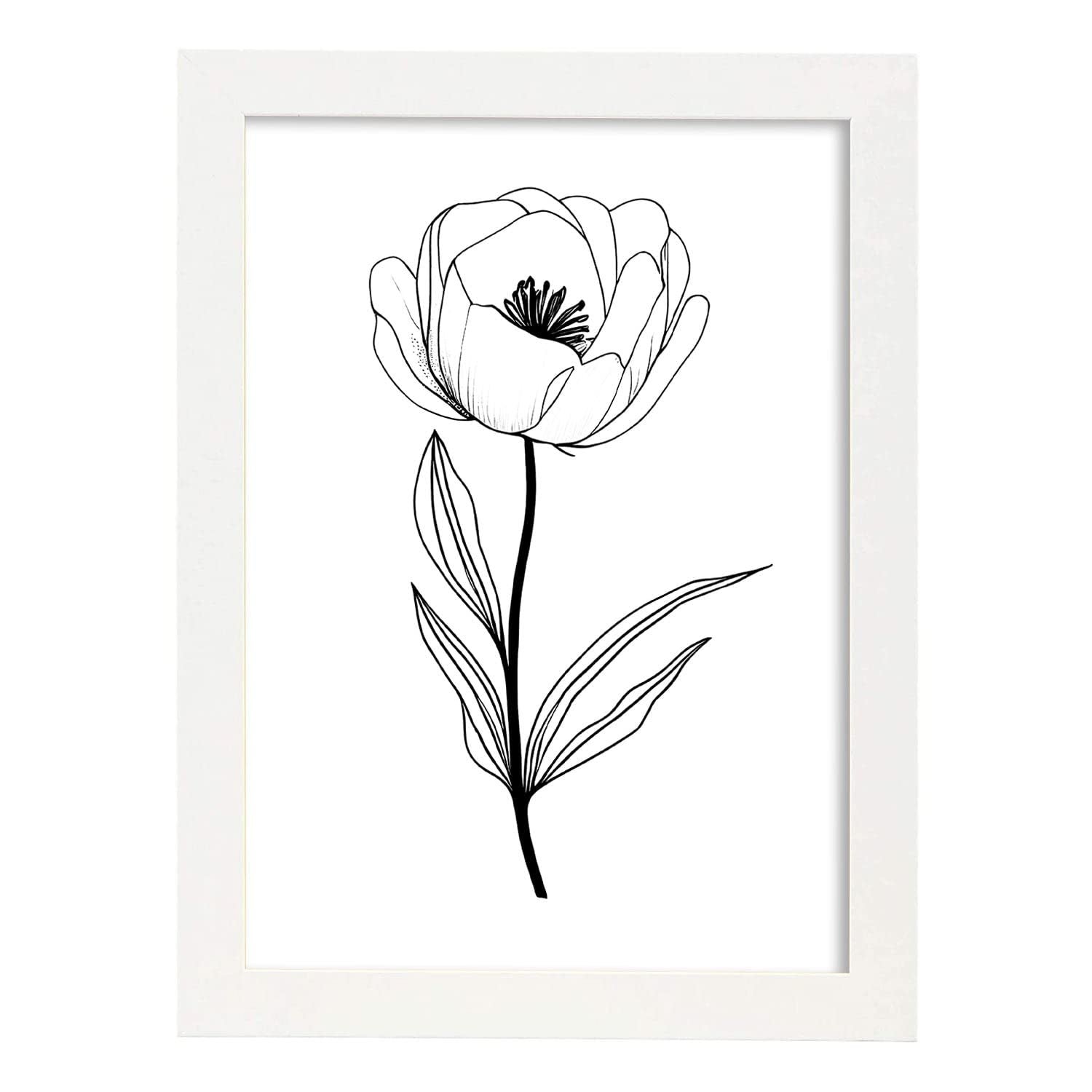 Nacnic Rose Illustration D'affiche Botanique De Fleur Noire Et Blanche Affiche D'art Mural Minimaliste Nordique Pourmodèle 1 A4 Avec Cadre Noir | Leroy Merlin