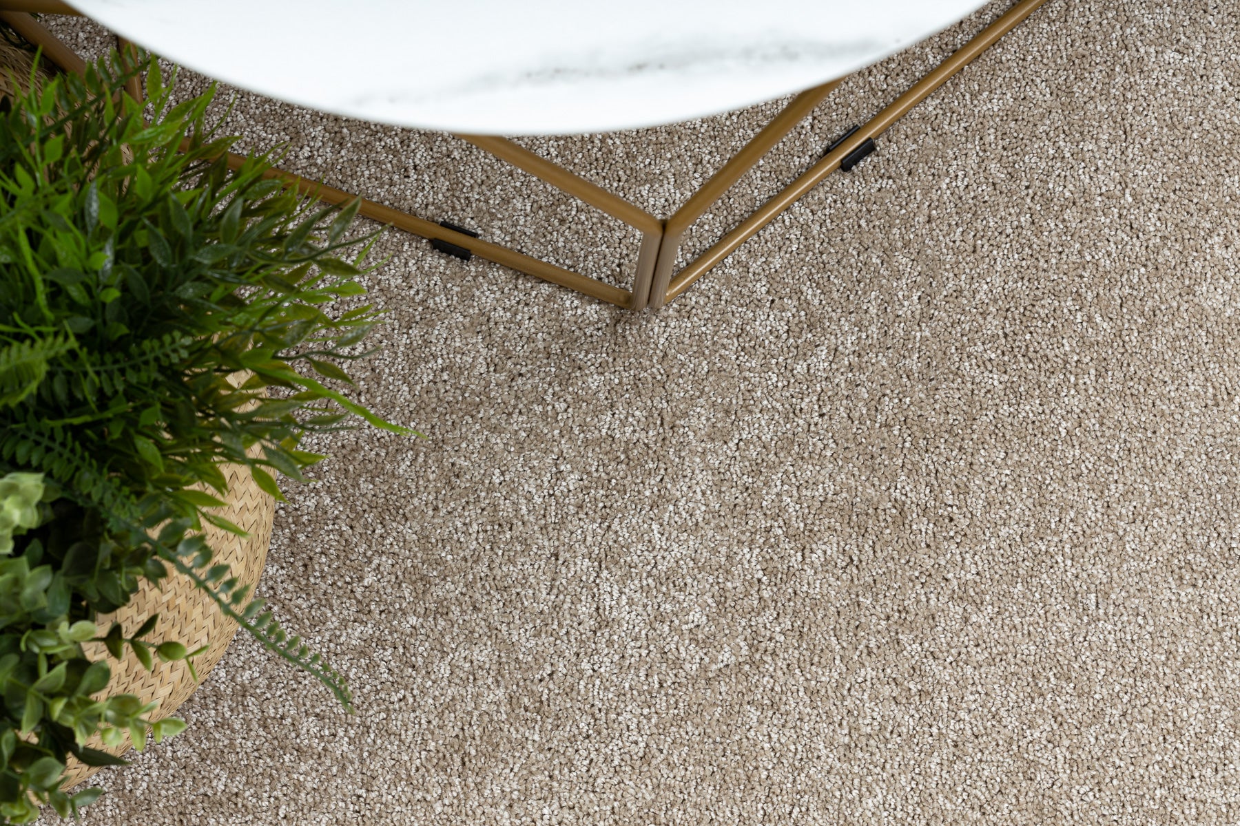 TAPIS cercle SANTA FE beige 33 plaine couleur unie cercle 100 cm - 5