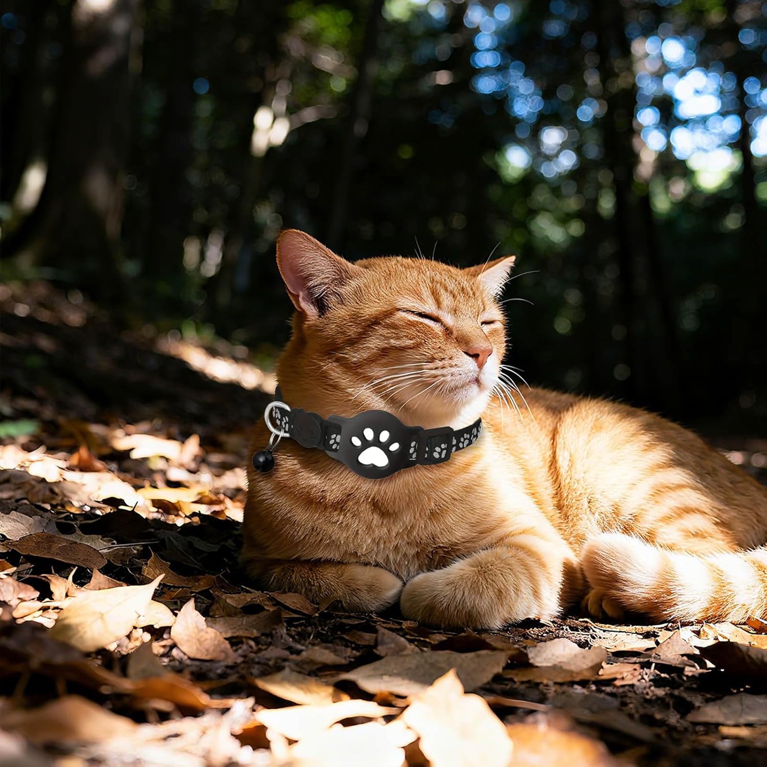 Collier GPS Chat, Traceur Tracker, sans Abonnement Mensuel,Localisation Temps Réel, Imperméable et Durable, Alerte Intelligente (Noir) - 4