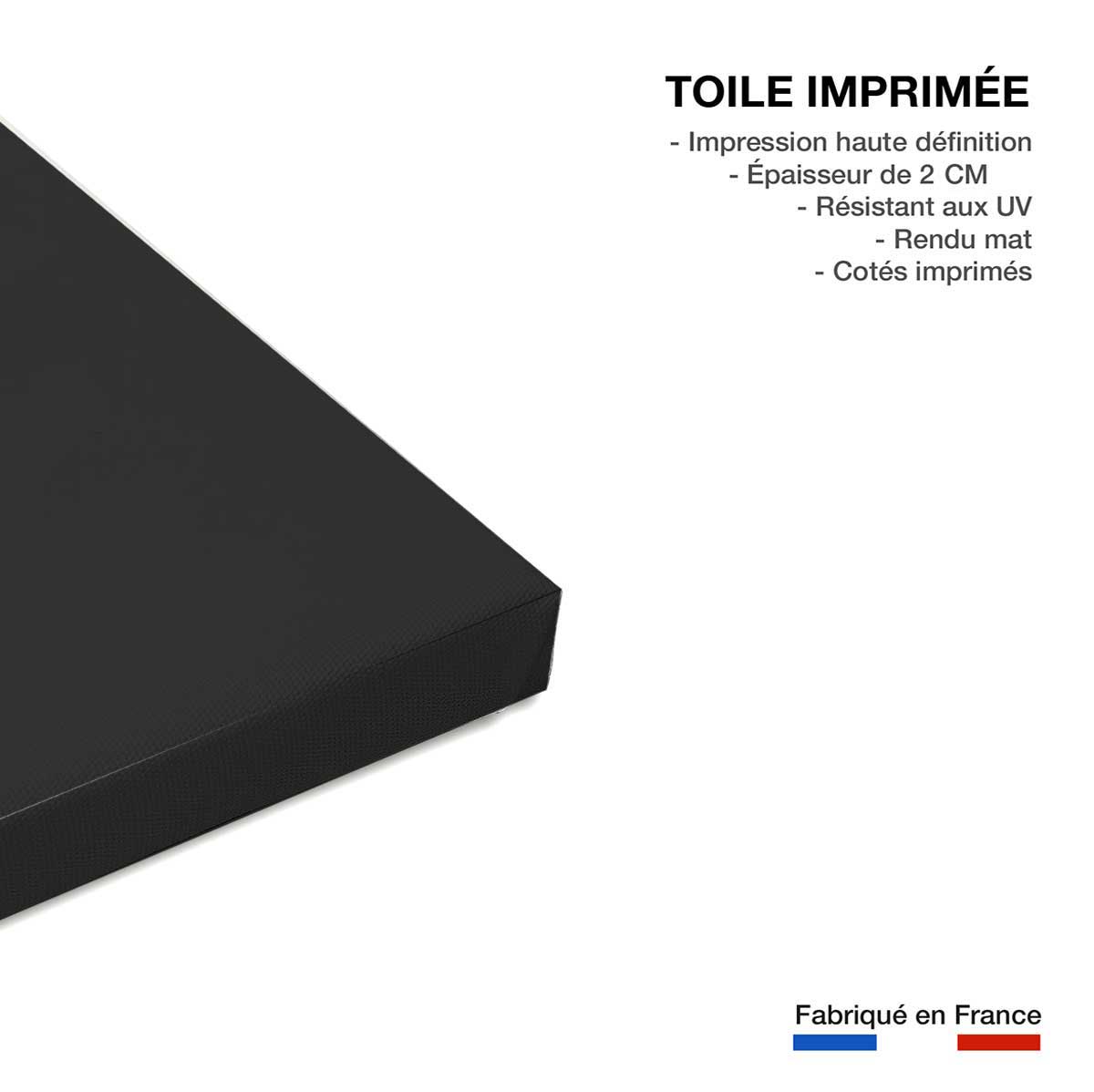 Tableau animaux elephant noir et blanc ivoire - 50x50 cm - 3