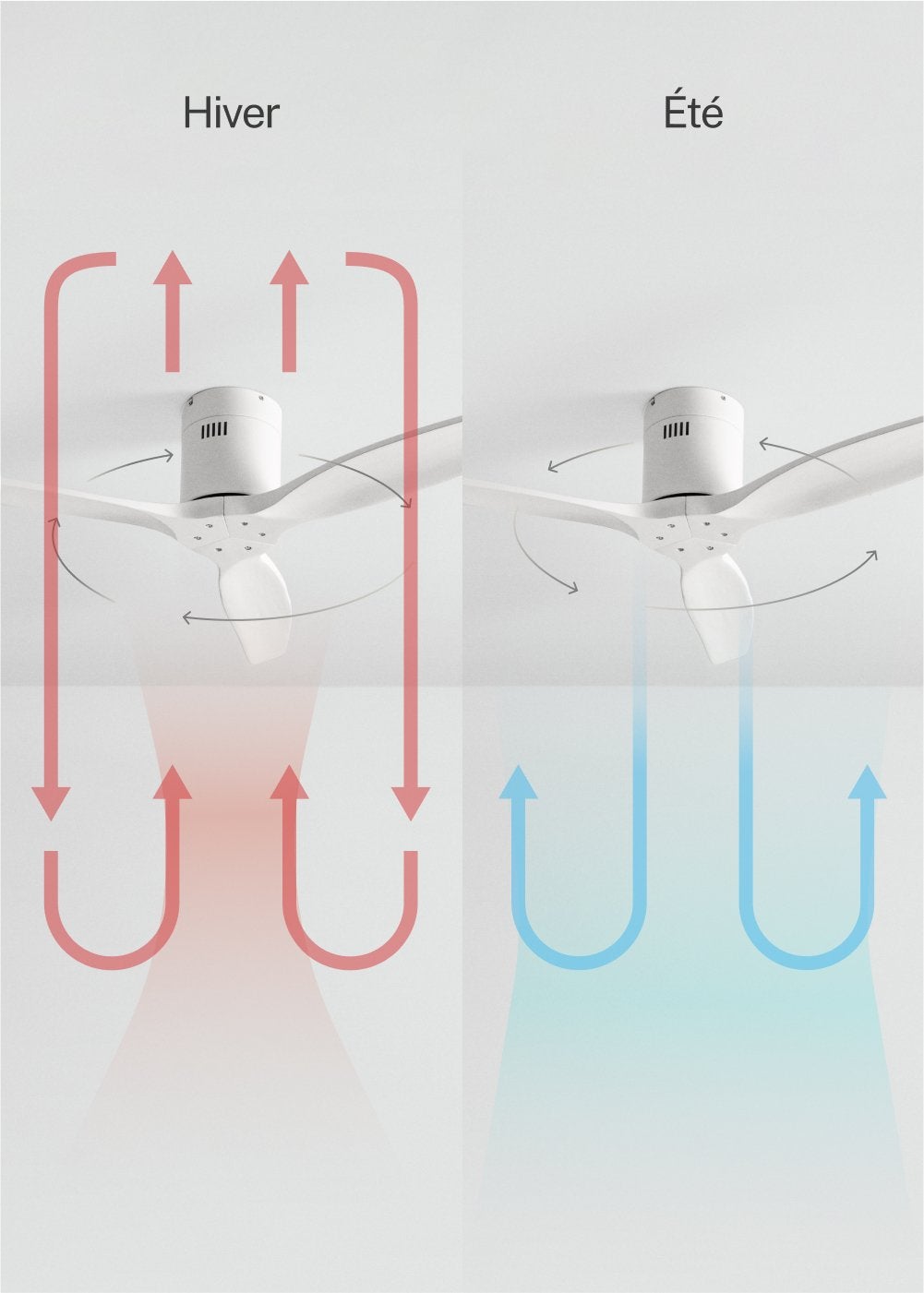 WIND CALM M - Ventilador de techo 40W silencioso con aspas de ABS técnico Ø132cm - Sin luz - sin WIFI - 5