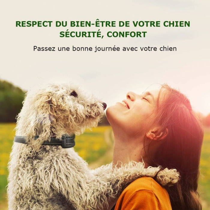 Collar para perros - 3 modos: descarga/vibración/sensibilidad, seguridad, automático, IP65, batería recargable, correa reflectante ajustable - 5