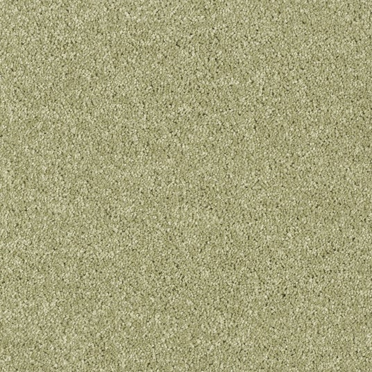 Moquette recyclée Re-cycle - Vert kaki - Rouleau de 5m x 5m | Leroy Merlin