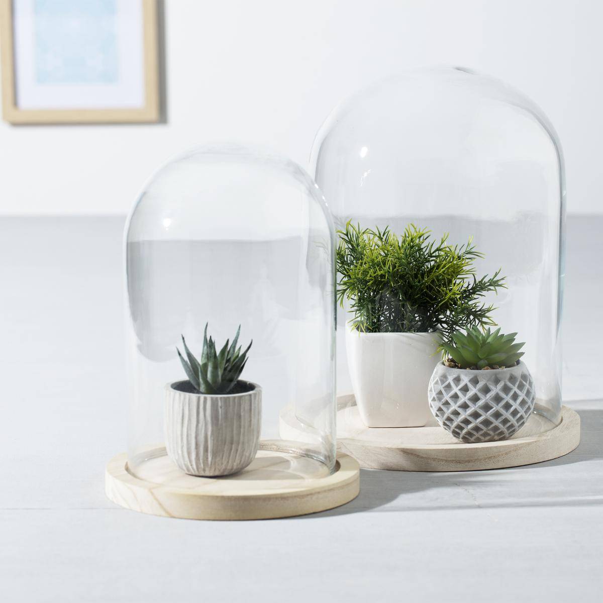 Cloche verre et bois - transparent - H26 cm - Atmosphera créateur d'intérieur - 6
