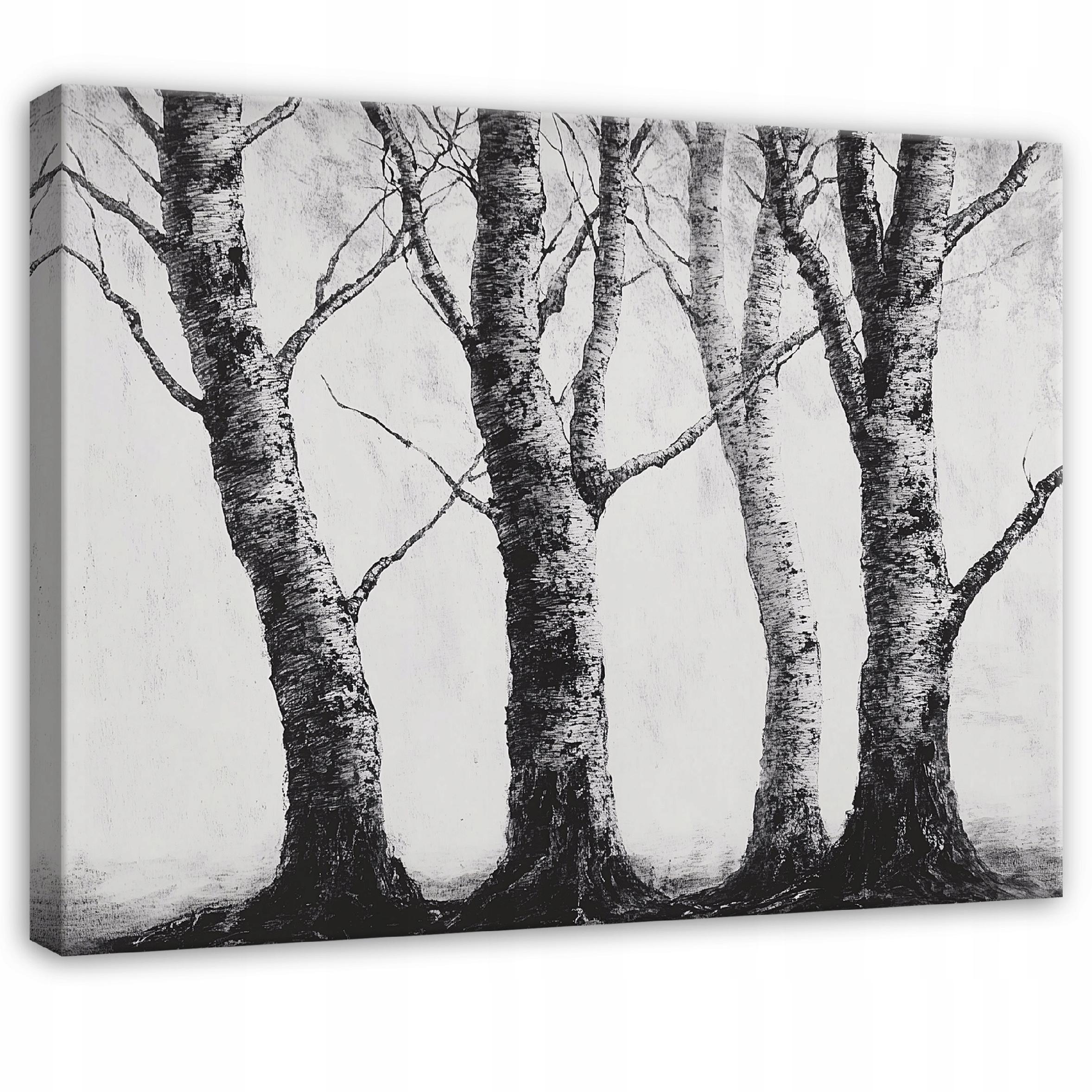 Obraz na płótnie ścianę Drzewa Brzozy Natura 100x75 cm Dekoracja Ścienna do Sypialni Salonu