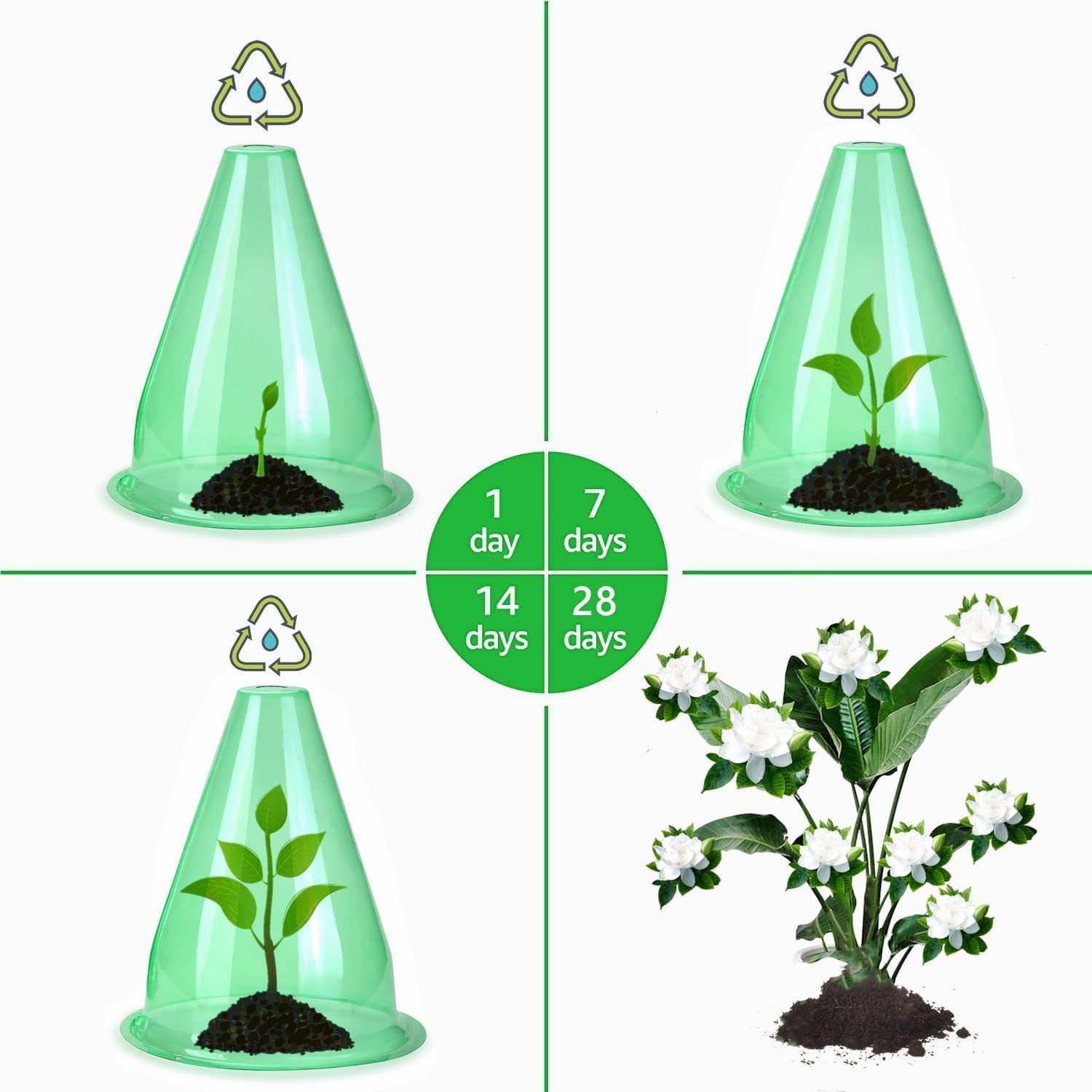 Lot de 12&nbsp;cape de jardin pour plantes, 7,8