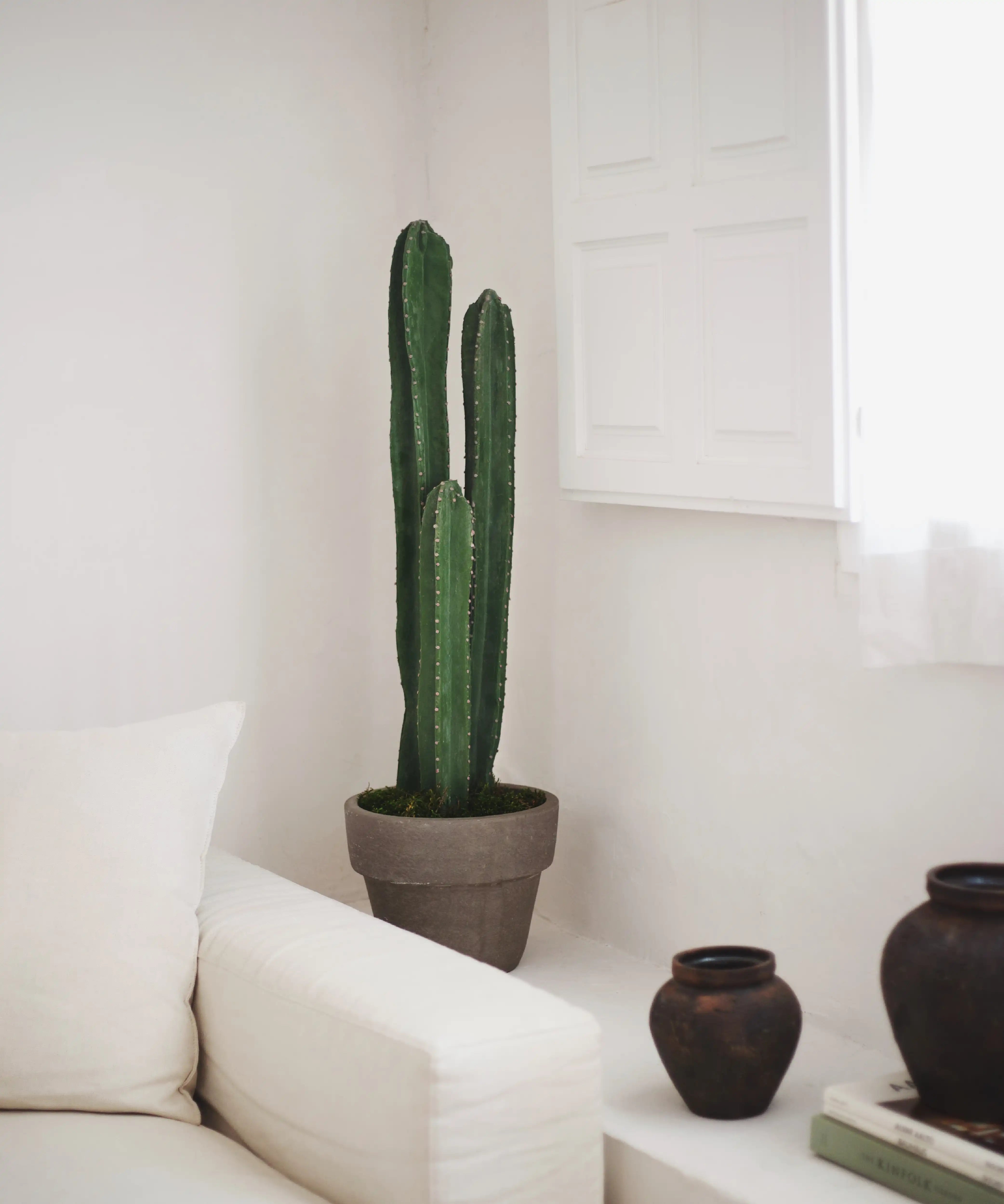 Maia Shop  Planta Artificial Grande, Cactus Artificial , Leroy Merlin
