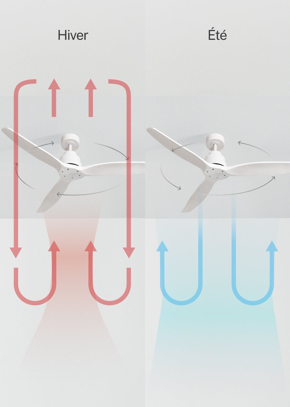 WIND STYLANCE M - Ventilador de techo 40W silencioso 100% madera varios tamaños - Sin luz - sin WIFI - 4