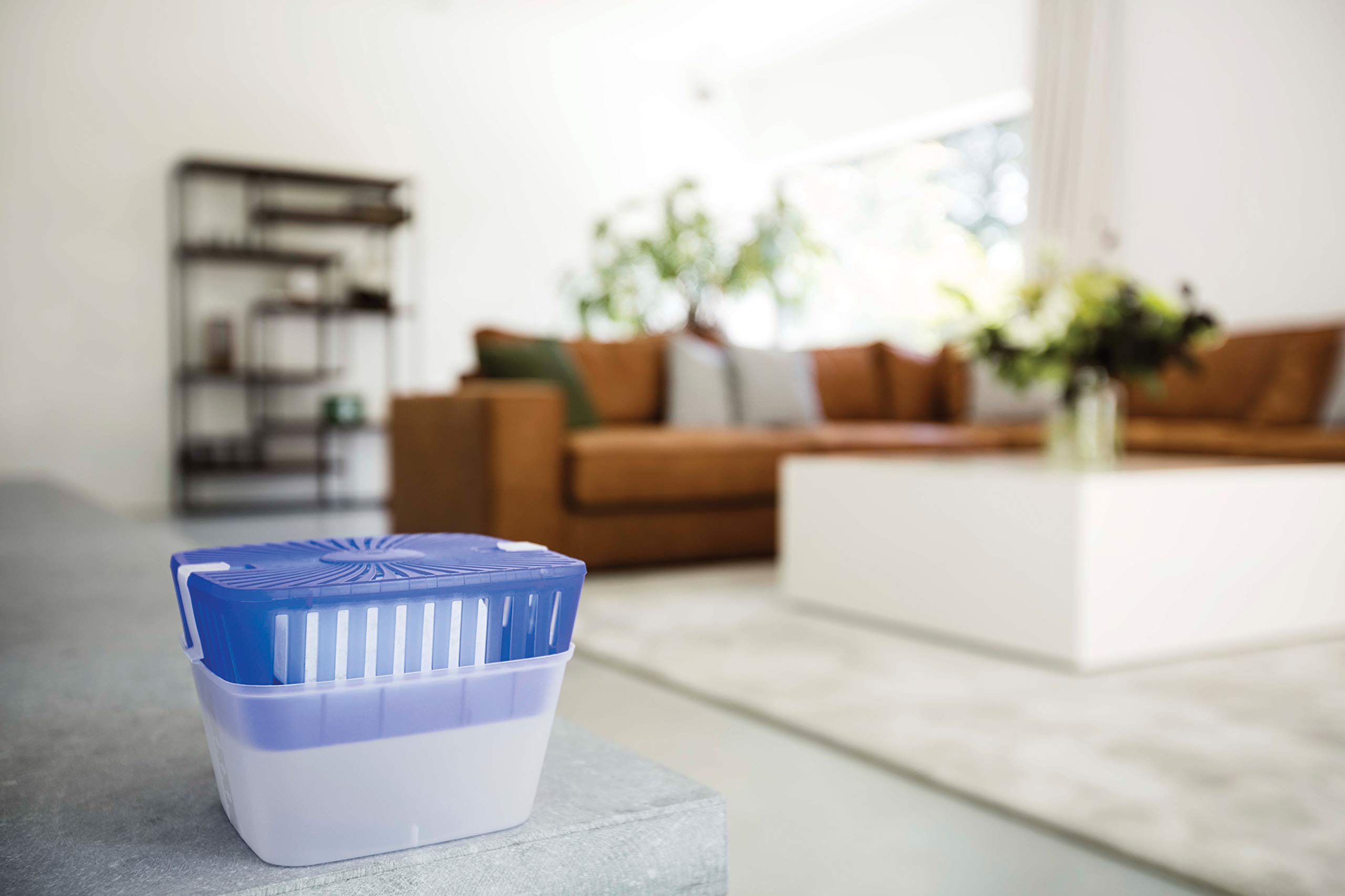 Recambio Airmax Maxi Lavanda G 1000 Airmax - 4