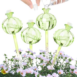 8 Sfere Per Irrigazione Automatica Piante Haawooky - Globi In Vetro A Forma Di Fungo, Per Piante Da Interno/Esterno - 3