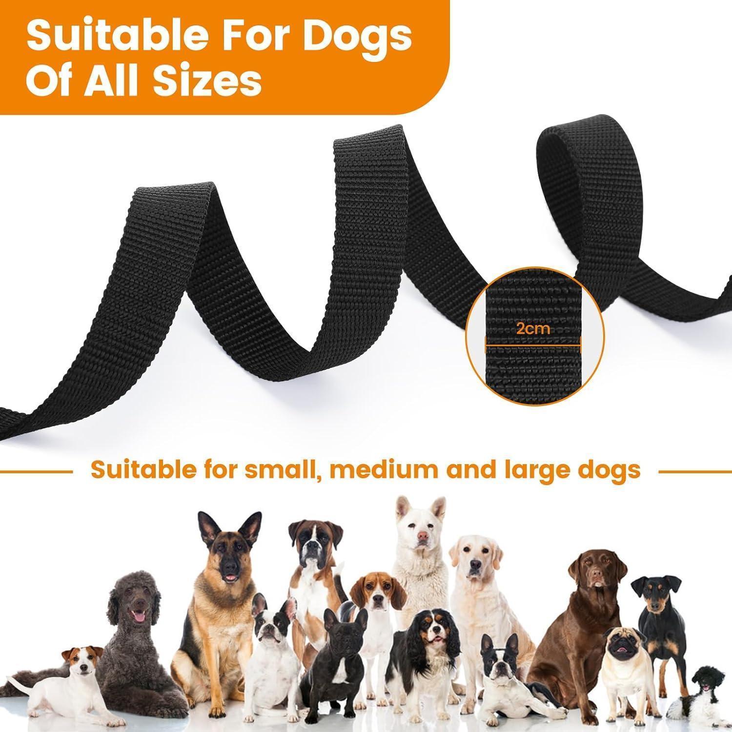 Longe chien nylon noir 30m, poignée PVC/SBR, mousqueton D rotatif 360 ...