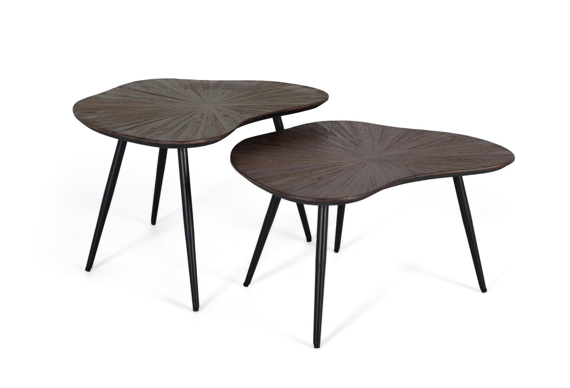 Ensemble deux Tables d'appoint gigognes au irrégulier design