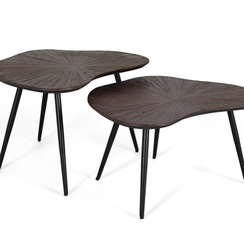 Ensemble deux Tables d'appoint gigognes au irrégulier design