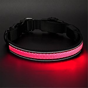LED Collier de Chien familier en Nylon, Lueur Clignotante de sécurité, Colliers fluorescents Lumineux de Chiens pour Animaux (Vert, M