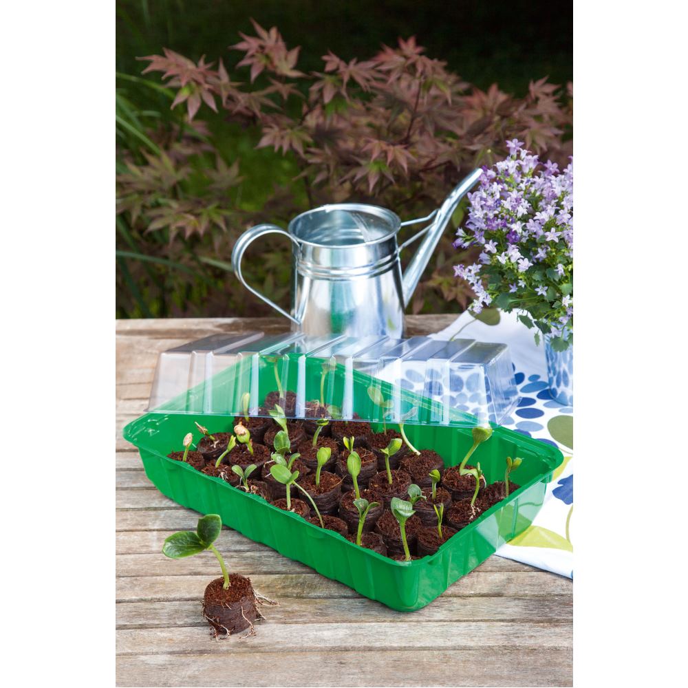 Mini serre non chauffante + 28 pastilles COCO - ROMBERG - 3