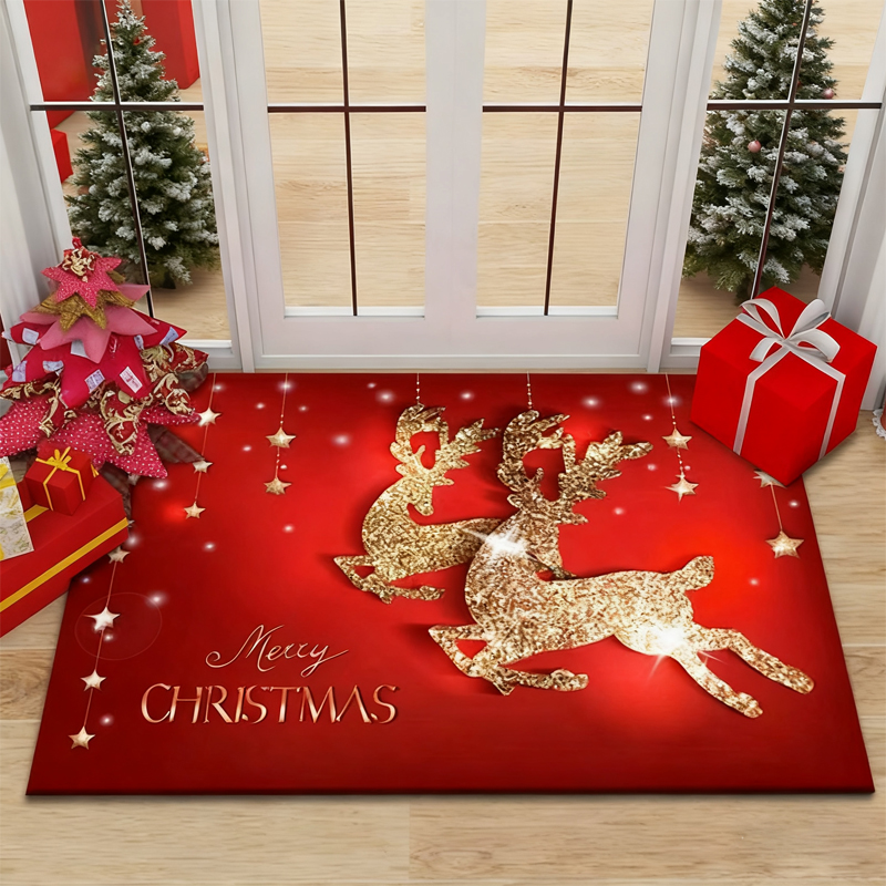 AIYoo Tapis De Porte, Paillasson D'intérieur Et D'extérieur, Tapis D