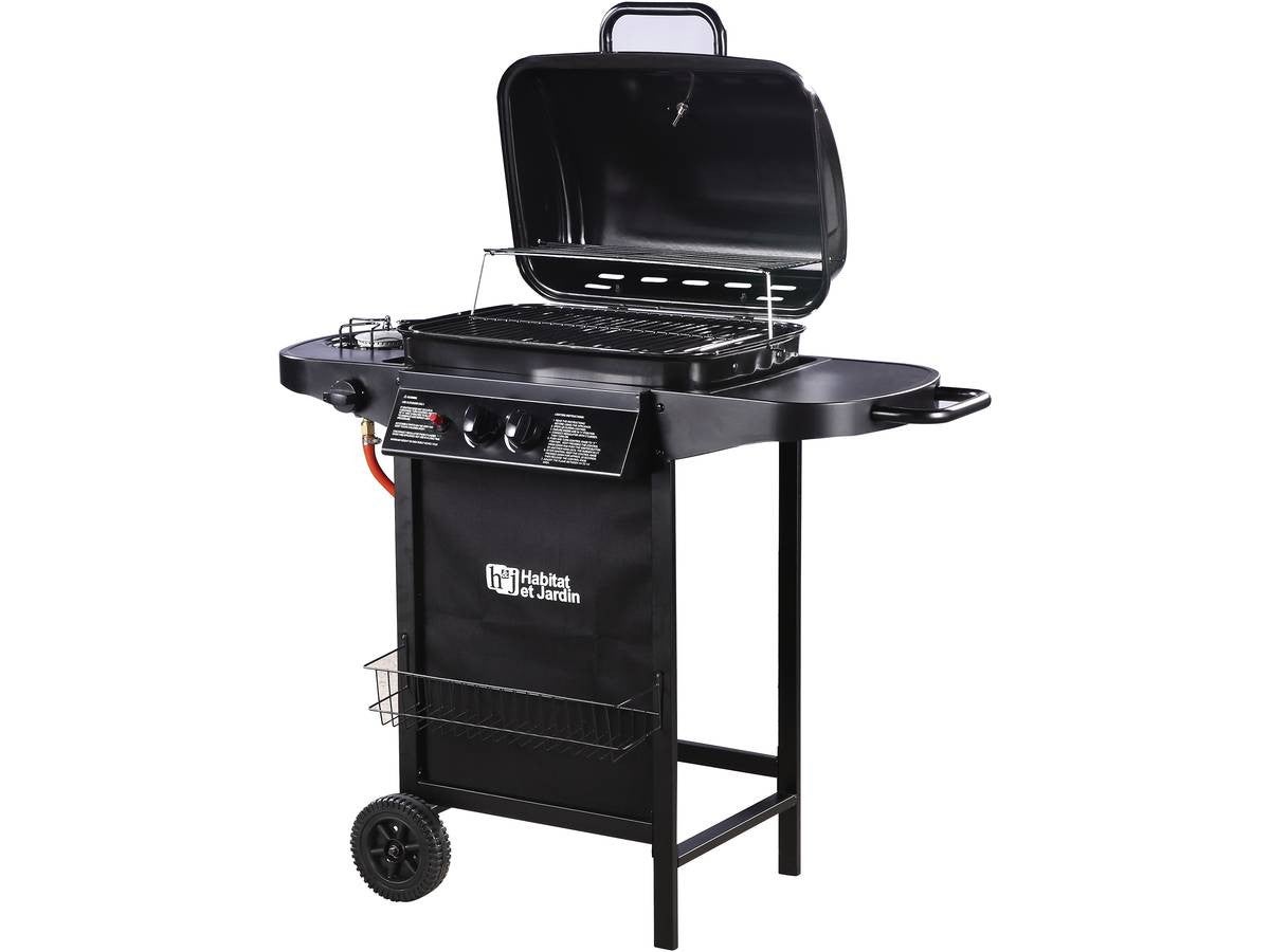 Barbecue gas 