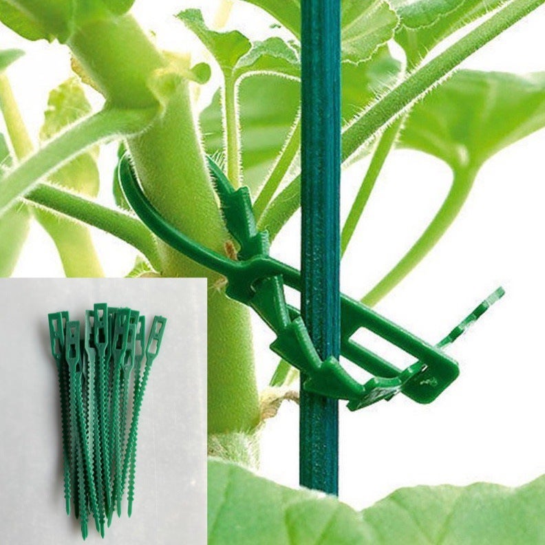 100 pièces attaches de plantes réglables attaches de plantes de jardin flexibles,cravate torsadée robuste multifonction pour plantes de jardin, 22 cm - 5