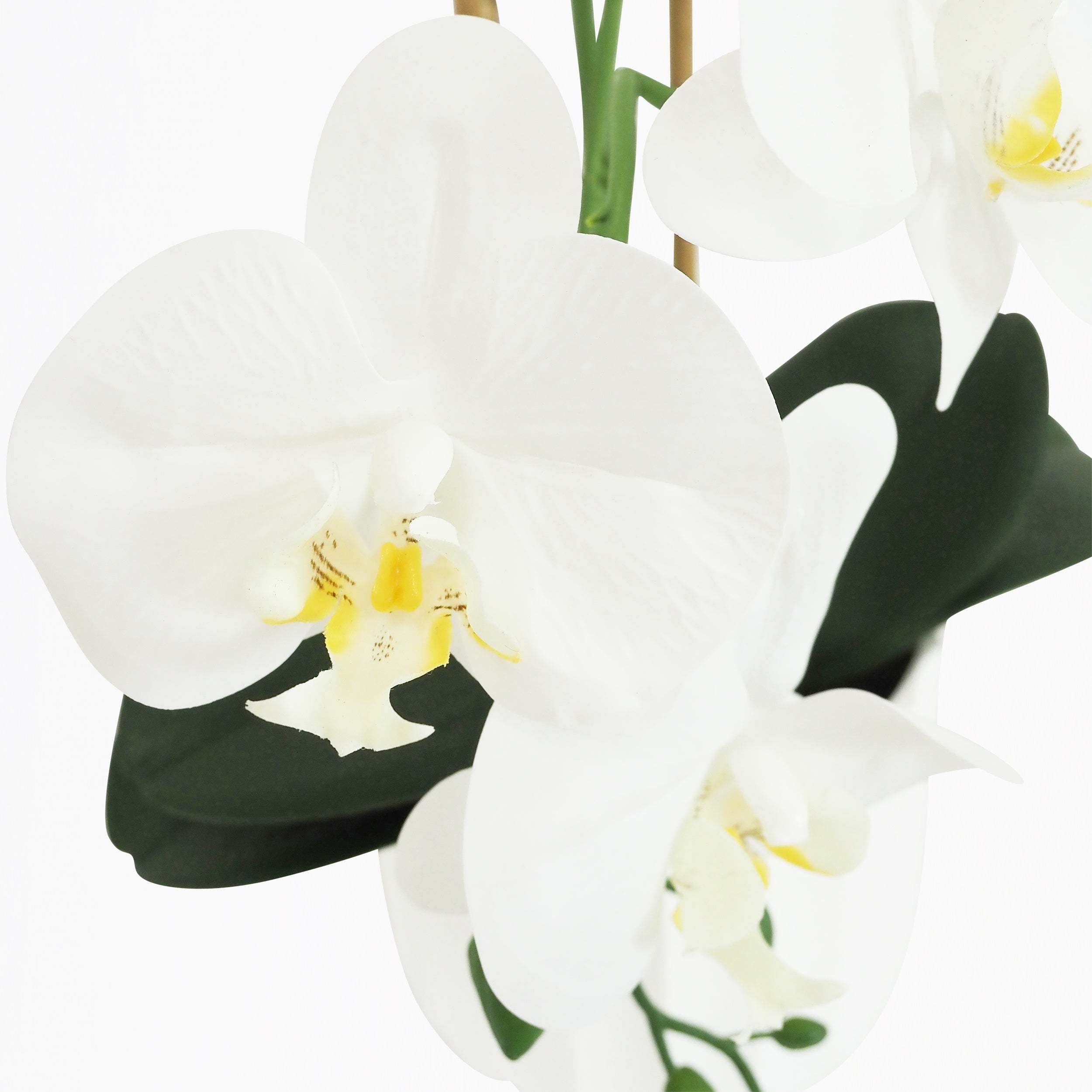 Orchidée artificielle toucher naturel blanc 52cm - 4