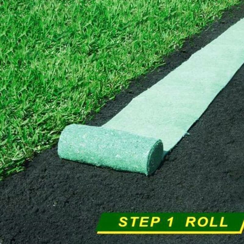 Rotolo di tappeto di semi di erba, 10 piedi, tappeto di semi di erba fertilizzante giardino picnic giardinaggio - 4