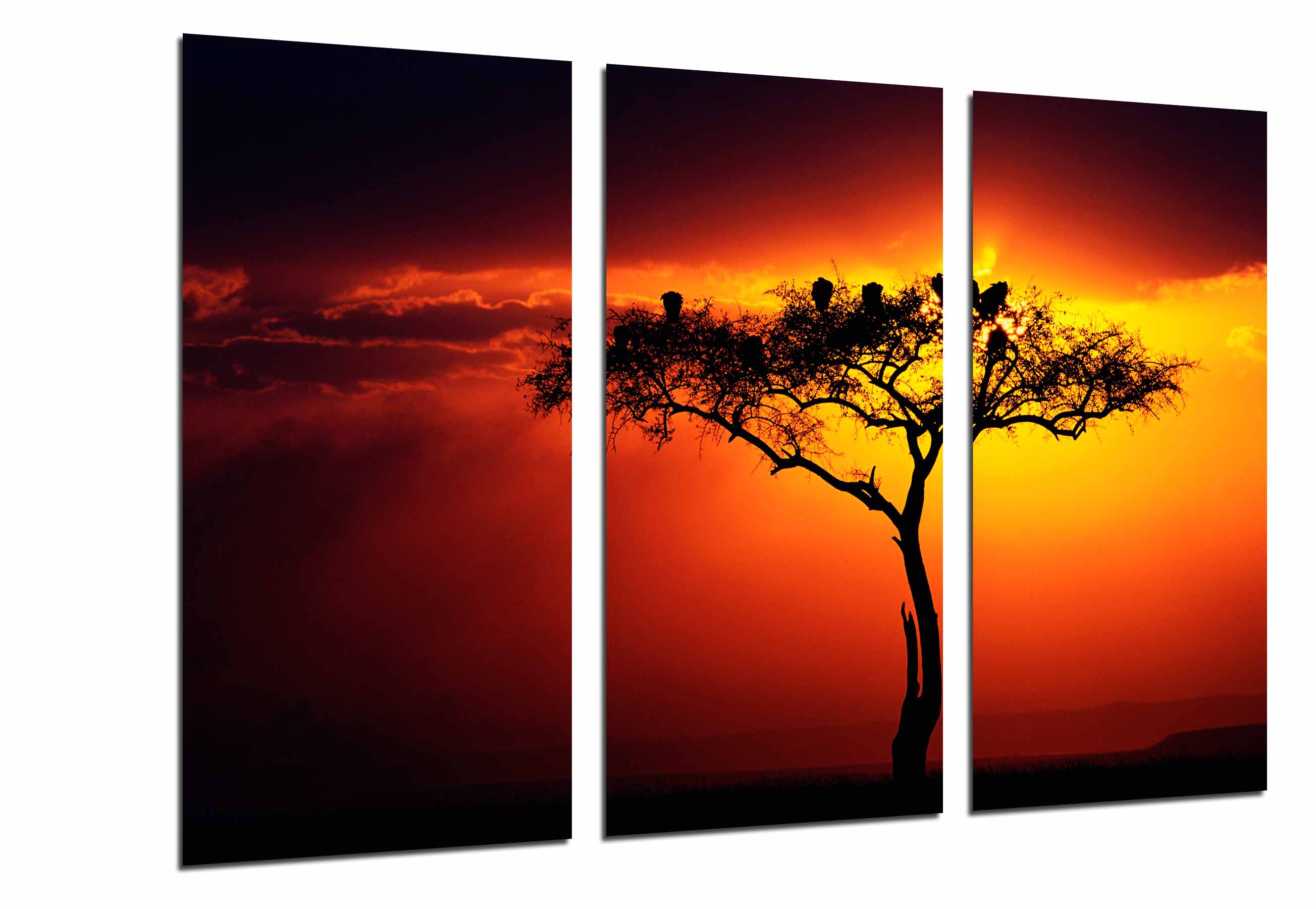 Naturaleza, arbol africano , atardecer, impresión fotográfica sobre madera, cuadro moderno decorativo