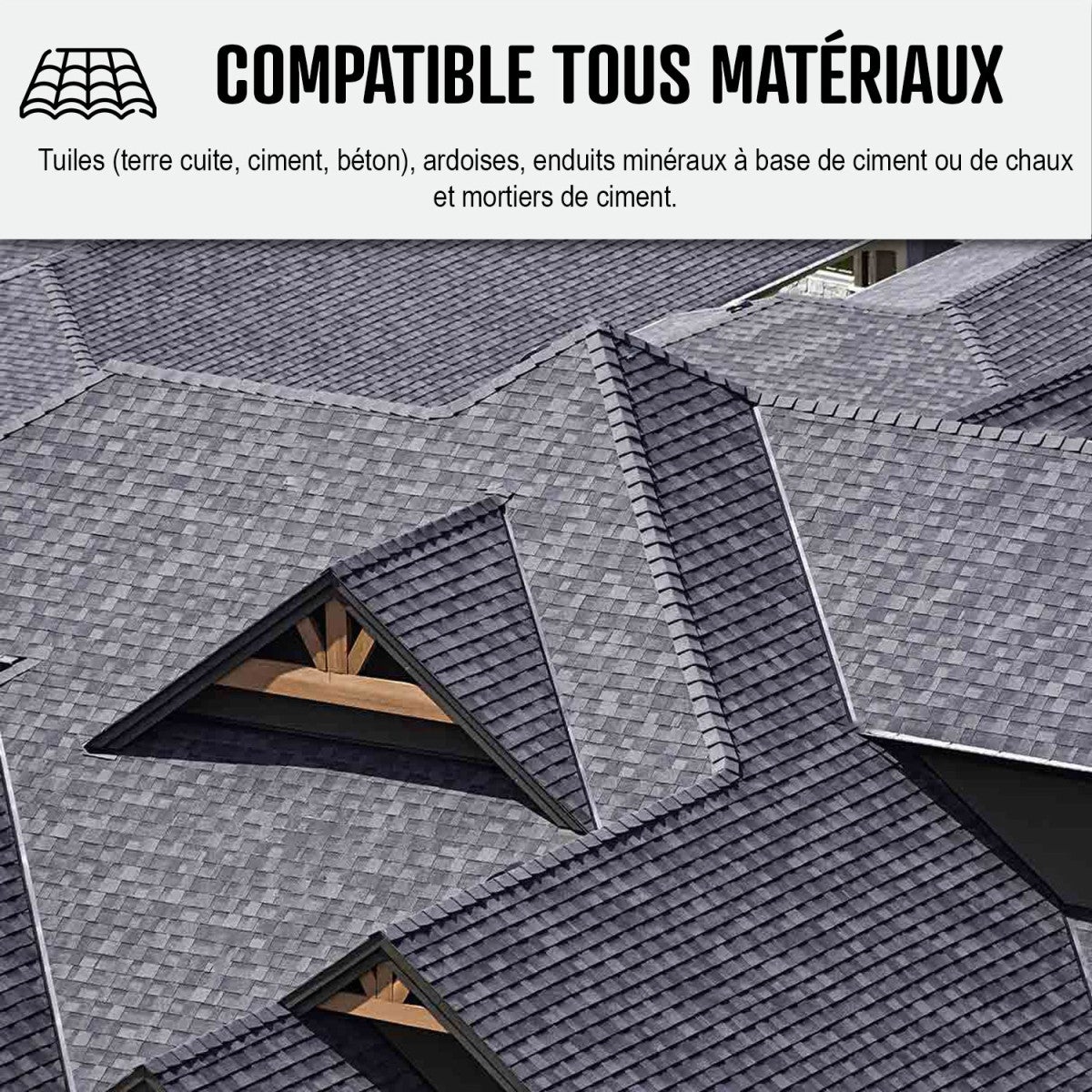 Traitement anti-dépots verts ULTRA CONCENTRÉ pour toitures et tuiles - 5 L (5 x 1L) - ARCANE INDUSTRIES - 5