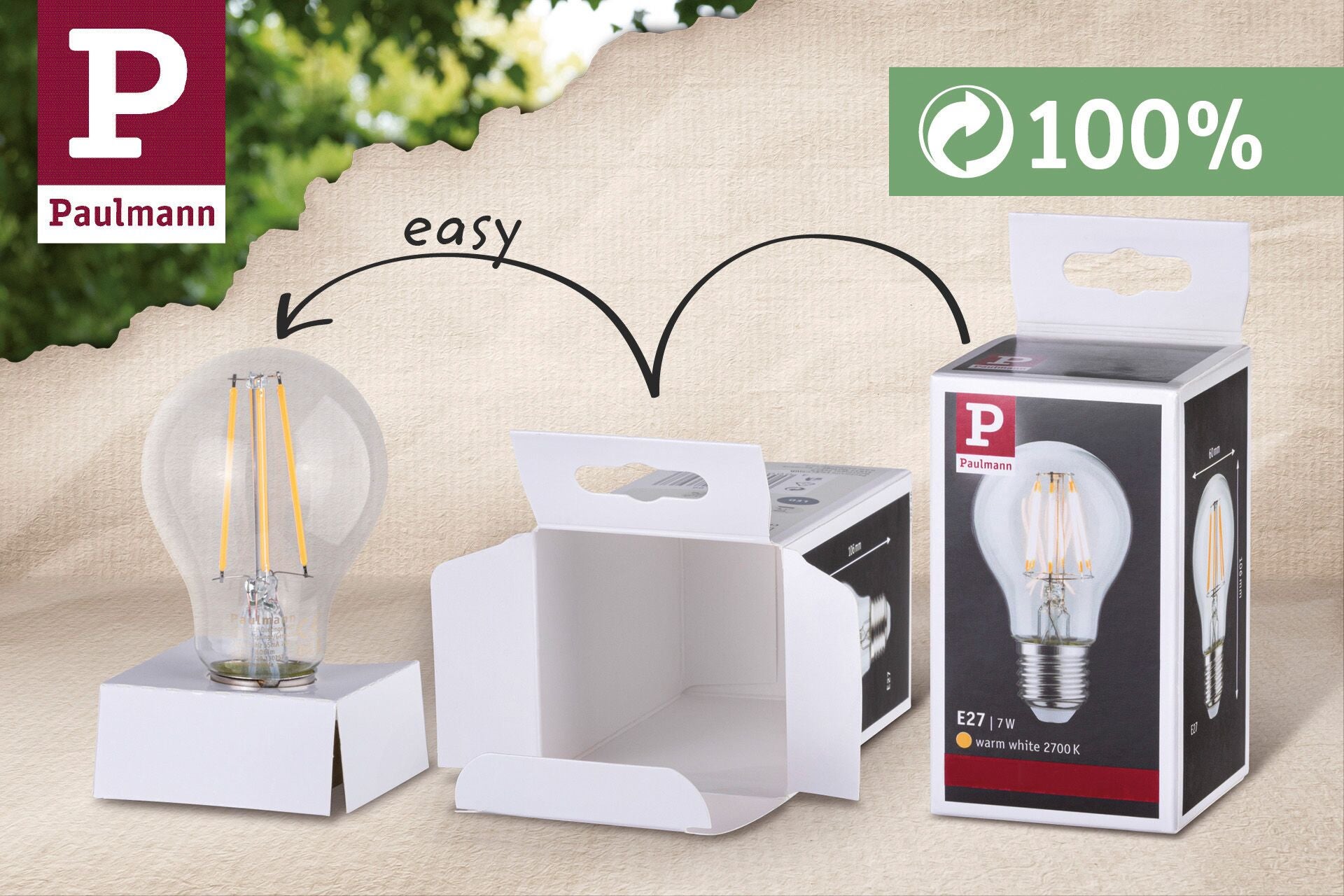 Filament 230 V Sphérique LED E27 5x250lm 5x2,6W 2700K Clair - 7
