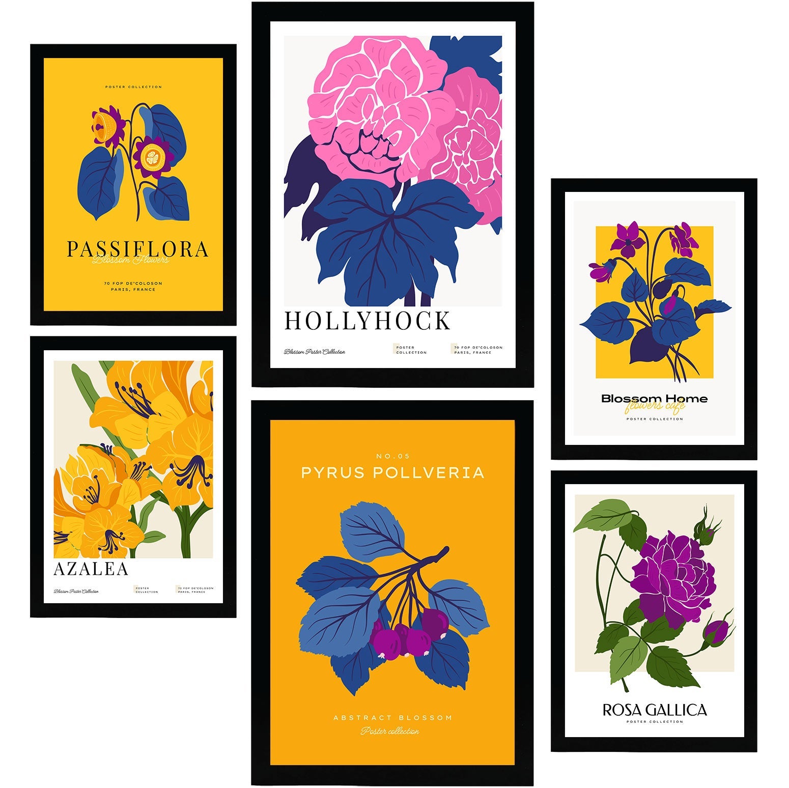 Nacnic set de 6 posters florales invernadero láminas de naturaleza y botánica para el diseño y decoración de interiores tamaños a3 & a4, sin marcos