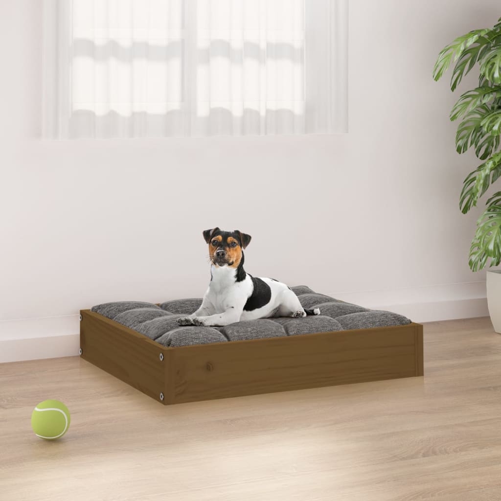 Lit pour animal domestique 56 x 45 x 15 cm (6 Unités)