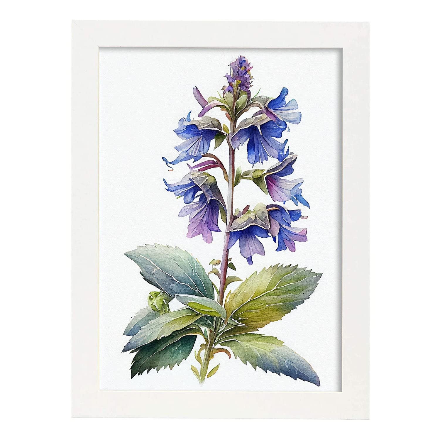 Nacnic poster de borraja estilo nórdico ilustraciones de botánica con flores y plantas en acuarela diseño moderno y modelo 1 a3 con marco blancos