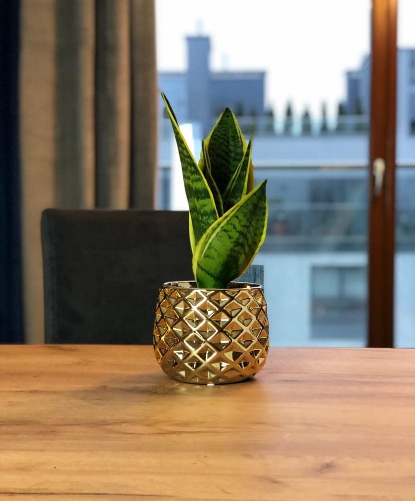 Doniczka donica osłona na kwiaty rośliny ø 13cm złota ceramiczna szkliwiona - KOTARBAU - 3