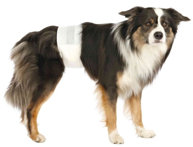 Trixie Pannolini a Fascia per Cani Maschi taglia XS da 12 pz