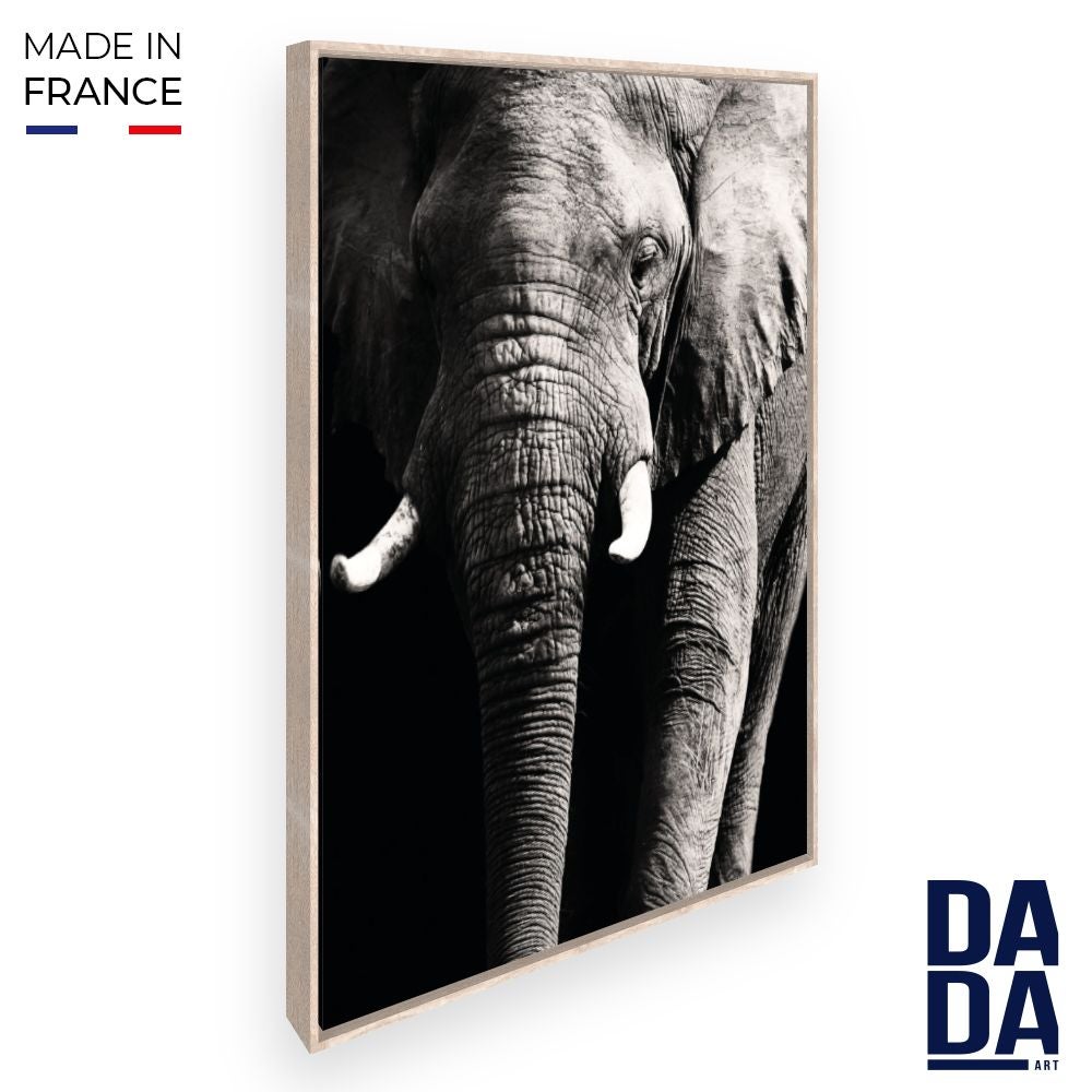 Tapisserie Murale Indienne Encadrée - Motif éléphant - Multicolore - 25x25 Cm