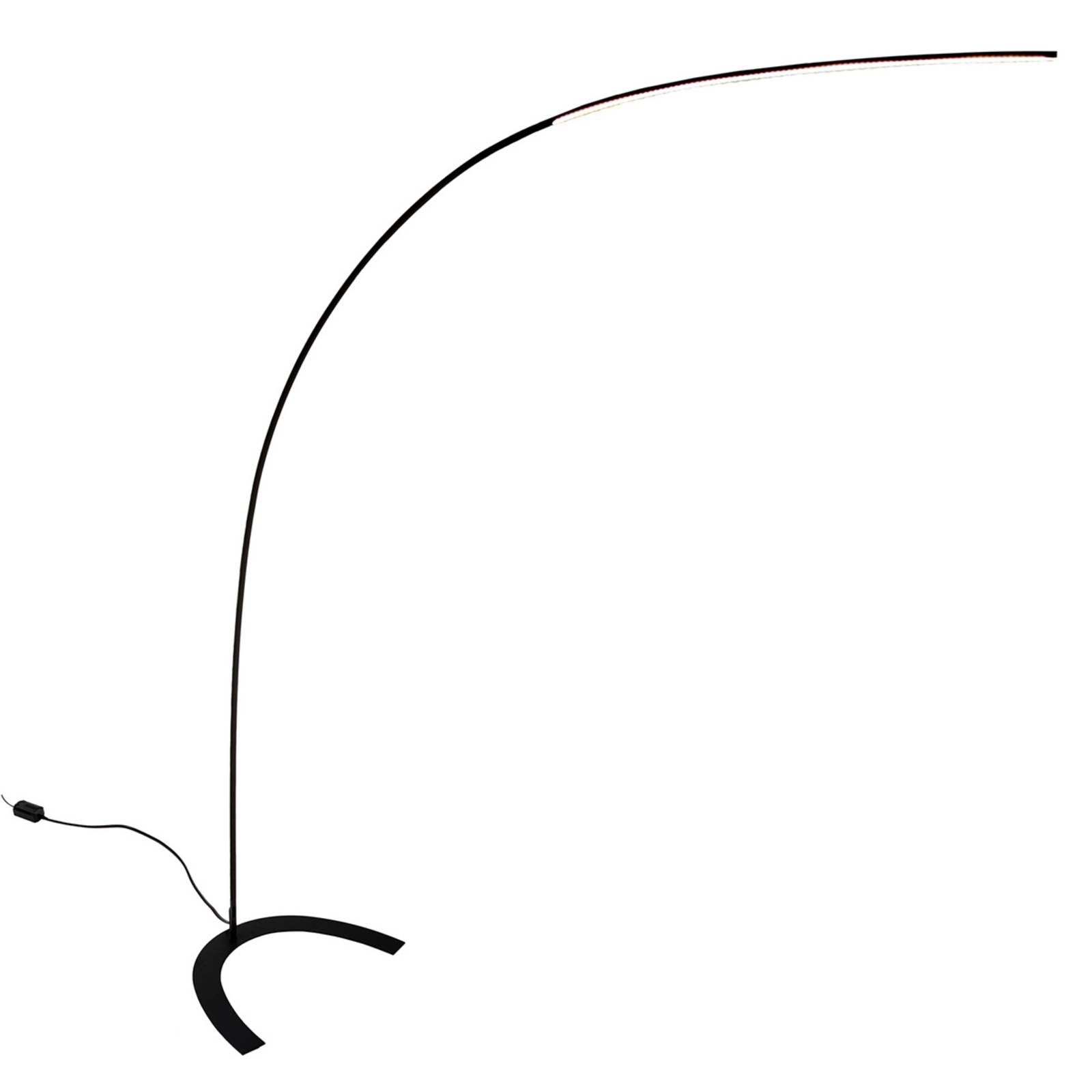 Lindby Lampadaire arqué LED Danua noir, Lampadaire Sur Pied, Lampe a ...