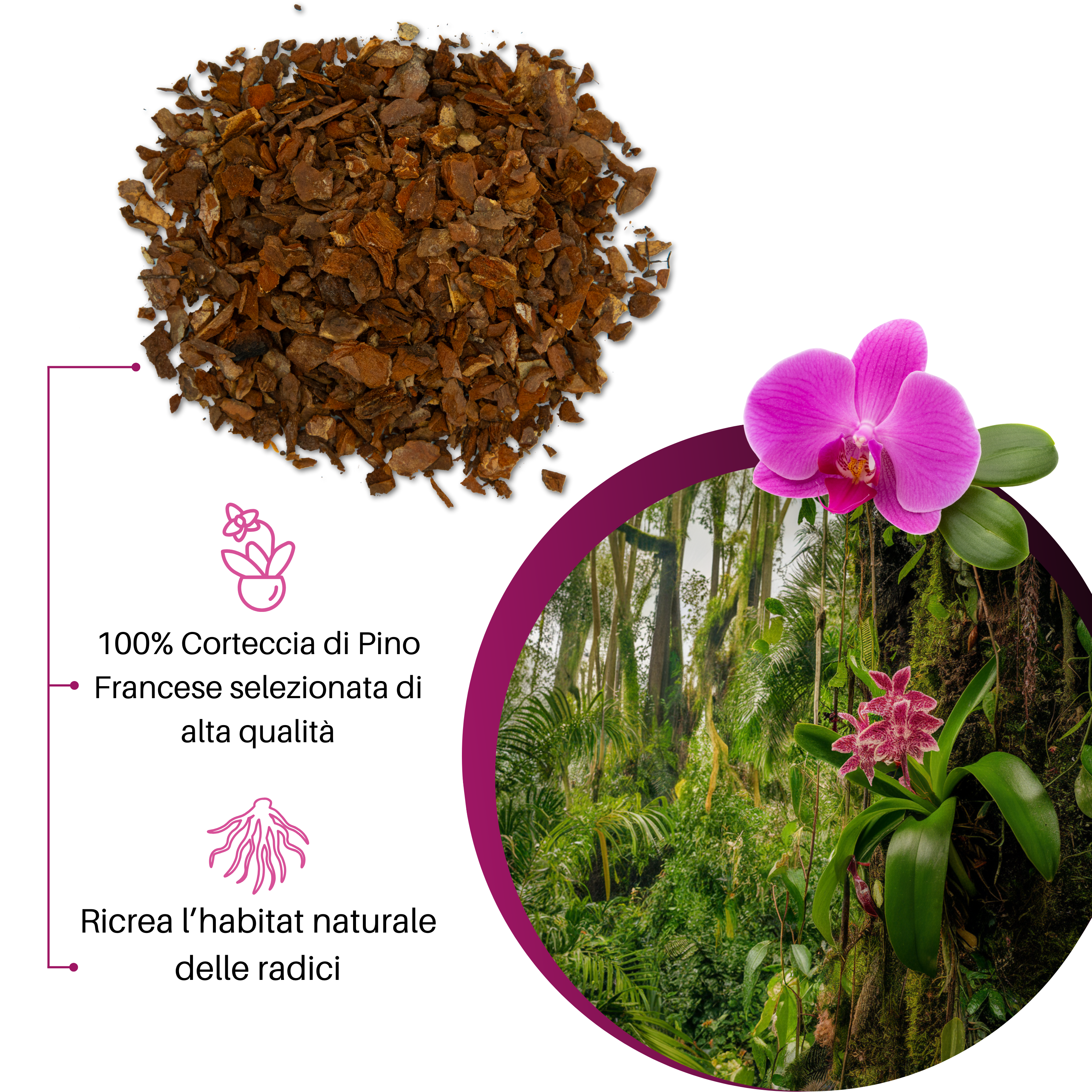 Pierucci Agricoltura – Terriccio Professionale Per Orchidee Con Bark – LT 10 – Substrato Per Orchidee