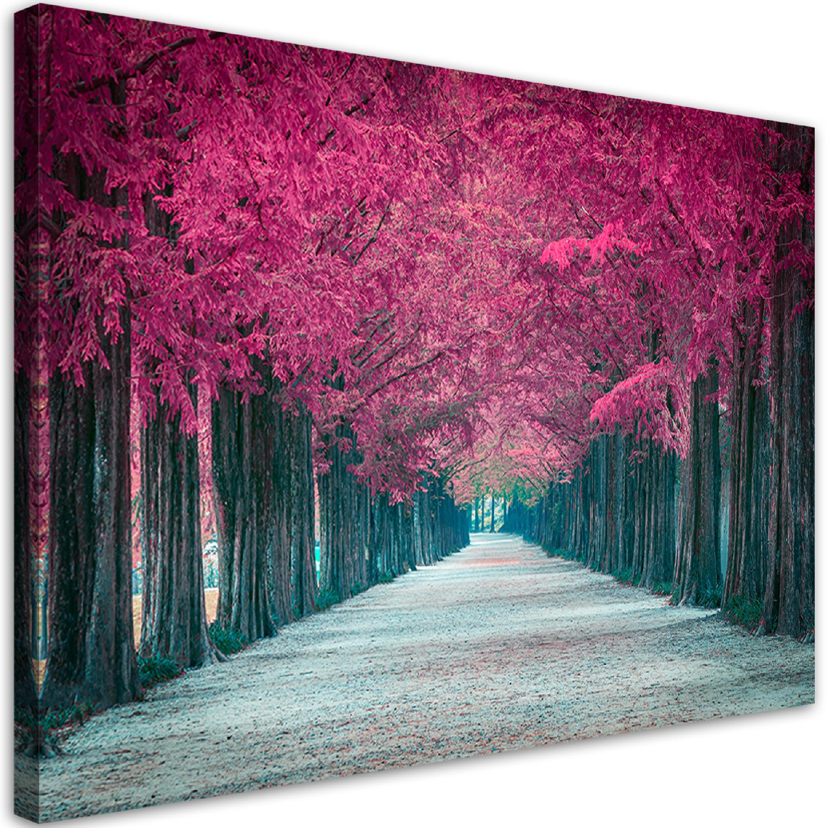Obraz na płótnie, Różowe drzewa park 60x40