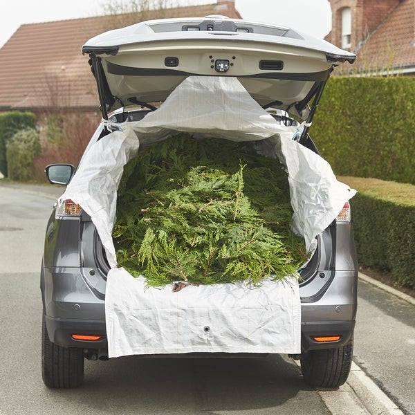 Big bag de voiture - 2