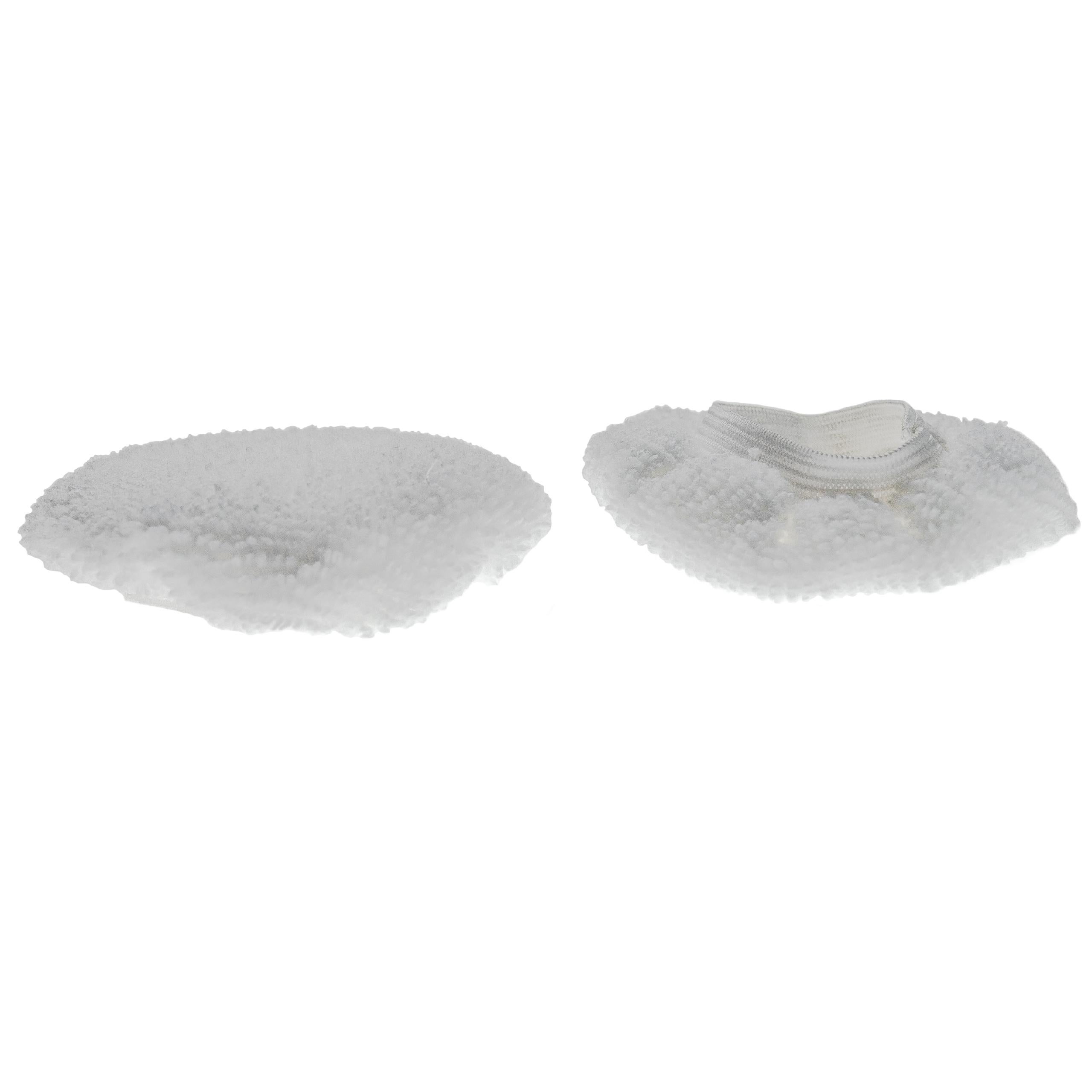 vhbw 2x Housses de rechange compatible avec Kärcher SC 5 Premium Iron Kit, SI 4 EasyFix Premium Iron nettoyeur à vapeur - microfibre, blanc, rond - 3