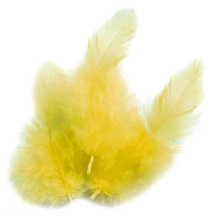 Lot De 50 Plumes De Coq Teintées Jaunes 10-15 Cm - Pour Déco, Costumes, Artisanat