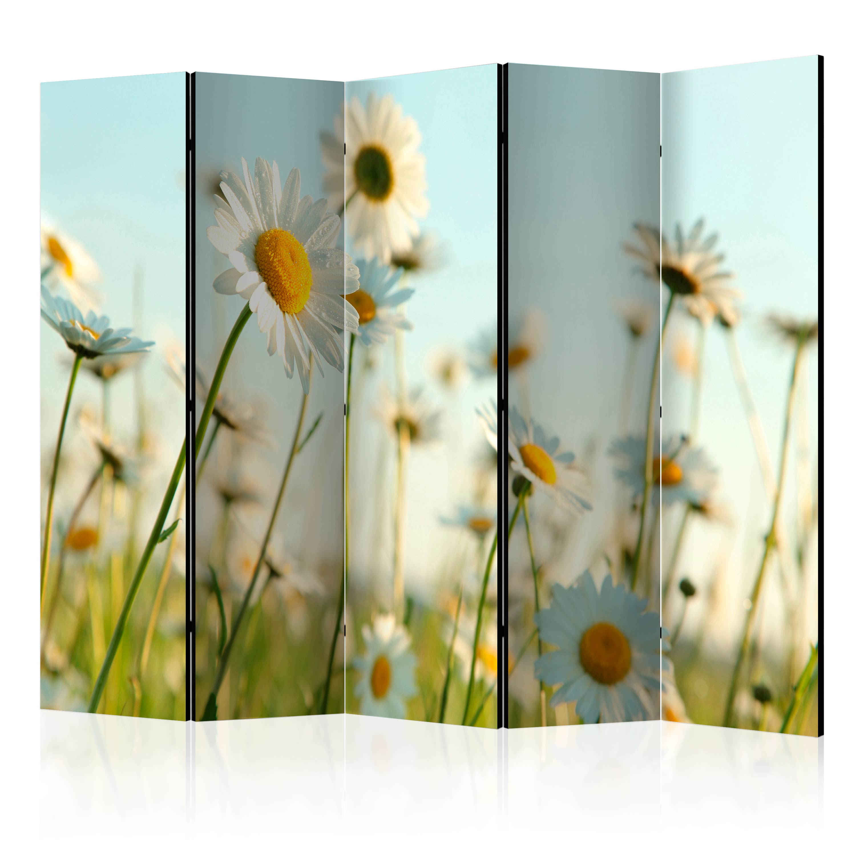 Paravent - Daisies - spring meadow II [Room Dividers] [225x172] | Leroy ...