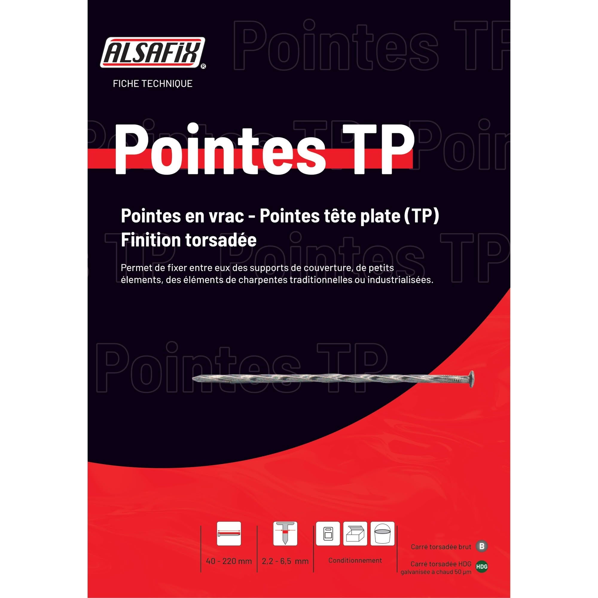 Alsafix Pointe Galvanisée à Chaud (HDG) Carré Torsadé (CT) en Vrac Tête Plate (TP) 3,1 mm - 5 kg - Longueur 70 mm - Diamètre 3,1 mm - 3