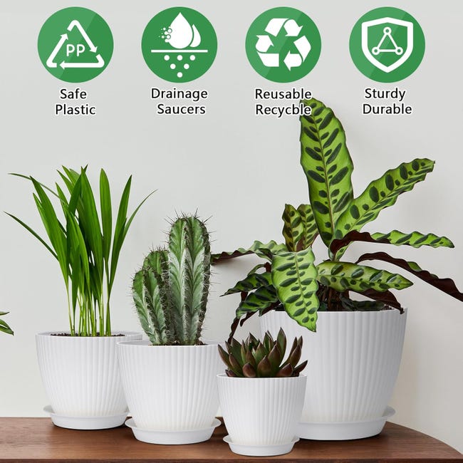 9 Misure A Scelta KADAX Vaso Da Fiori Con Sottovaso - Vaso Per Piante In Plastica Minimalista Vaso Decorativo Per Fiori Cactus Ed Erbe 17 Cm Grigio 83765781 Protezione Per Mobili Da Acqua 9 Misure A Scelta KADAX Vaso Da Fiori Con Sottovaso - Vaso Per Piante In Plastica Minimalista Vaso Decorativo Per Fiori Cactus Ed Erbe 17 Cm Grigio 83765781 Protezione Per Mobili Da Acqua