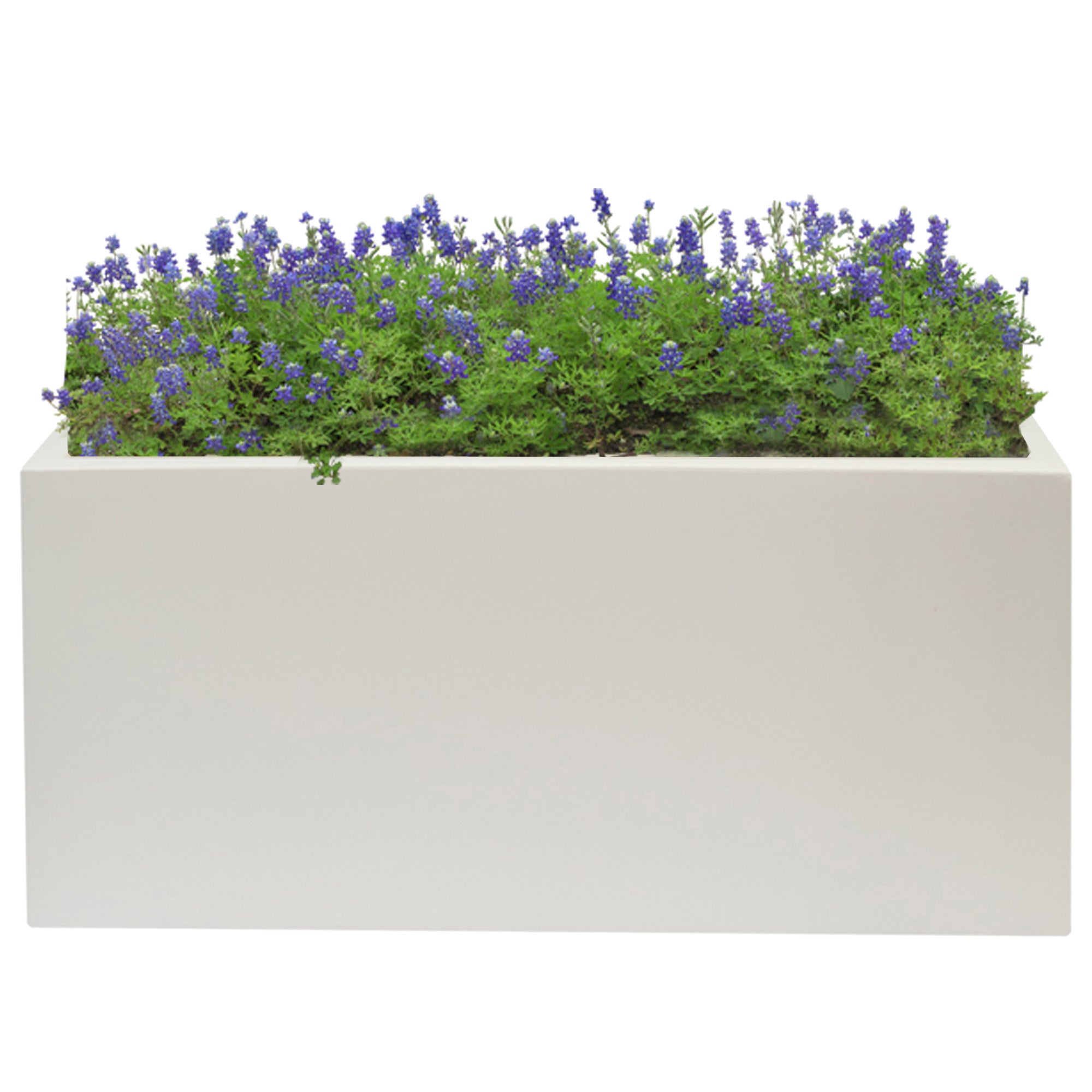 Jardinera color Blanco de Polietileno 60cm WellHome - 3